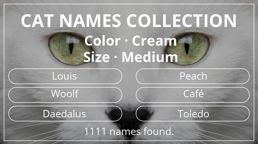 Names for cats based on cream color and medium size