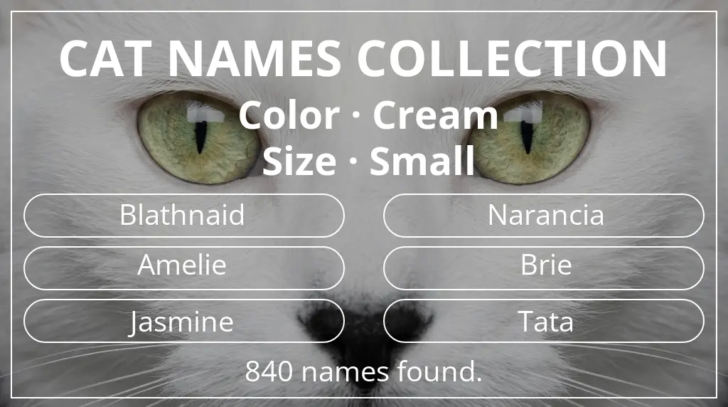 Feline names inspired by cream color and small size