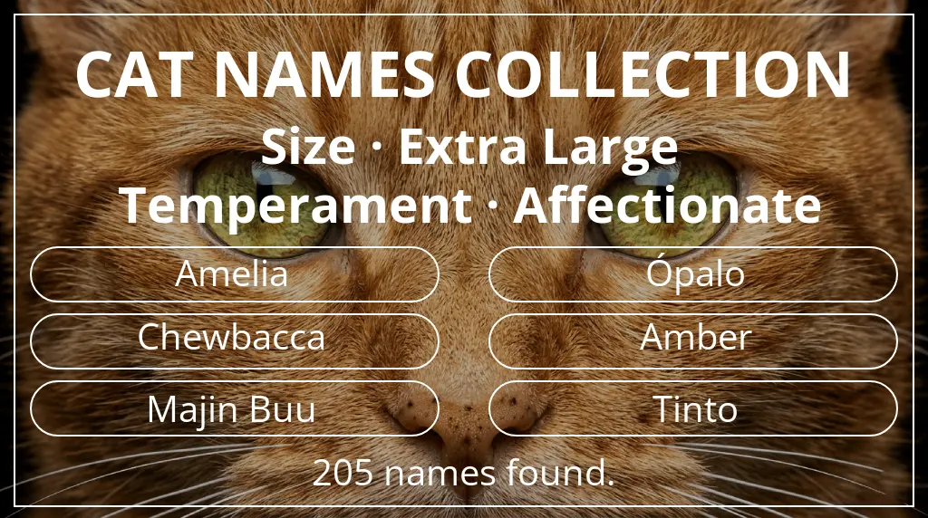 Cat names inspired by extra large size and affectionate temperament