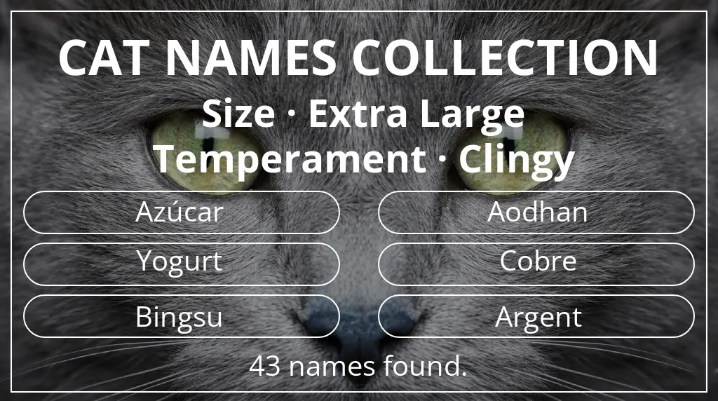 Feline names based on extra large size and clingy temperament