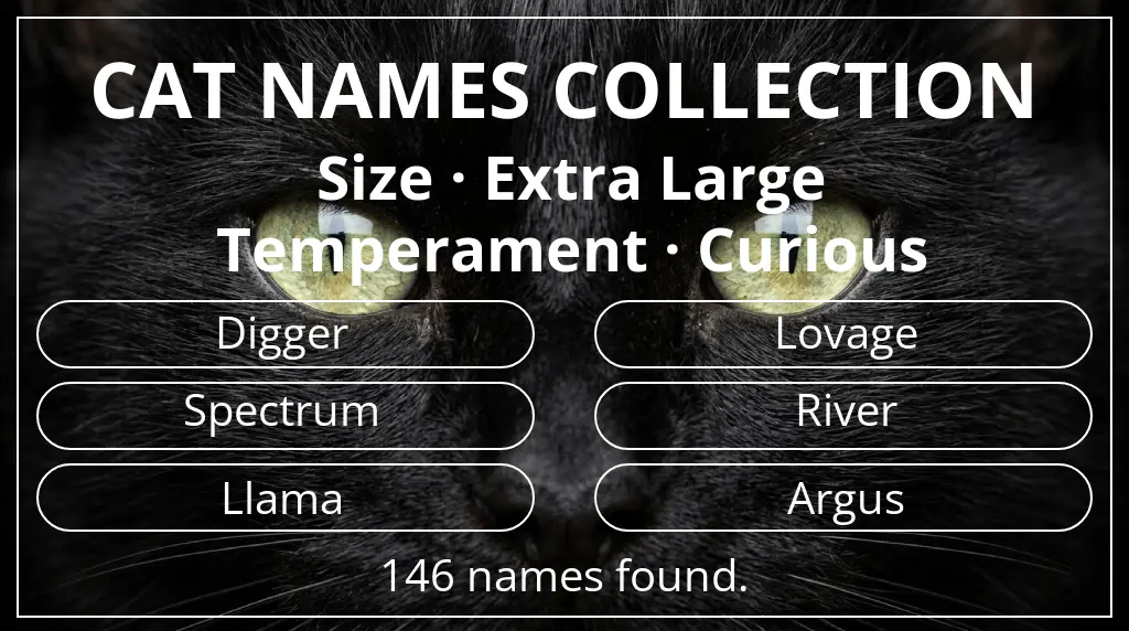 Feline names based on extra large size and curious temperament