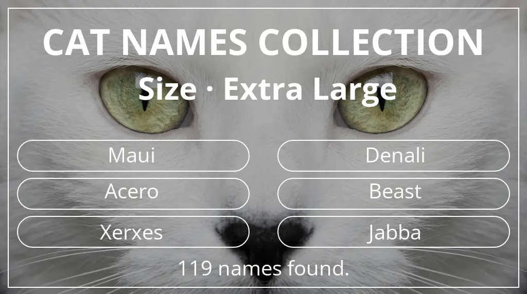 Cat names based on extra large size