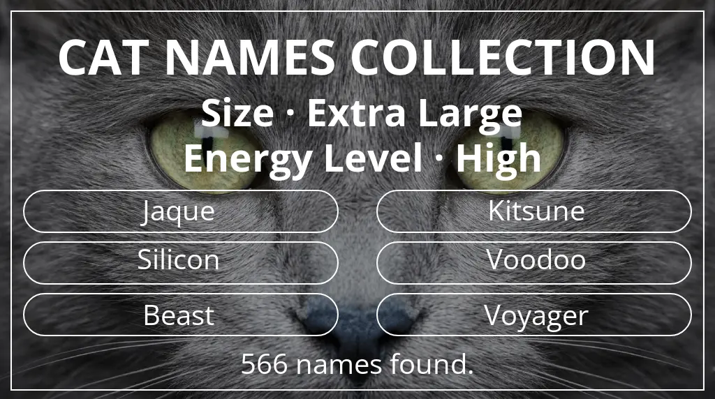 Feline names related to extra large size and high energy level