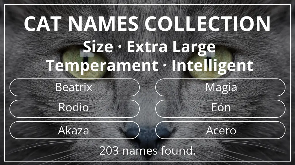 Cat names related to extra large size and intelligent temperament