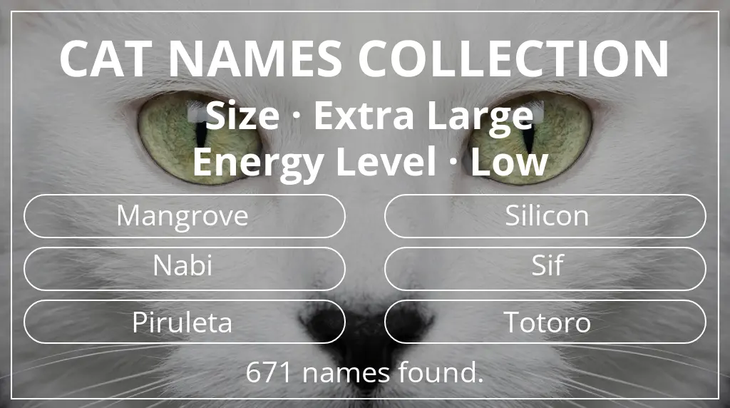 Feline names inspired by extra large size and low energy level