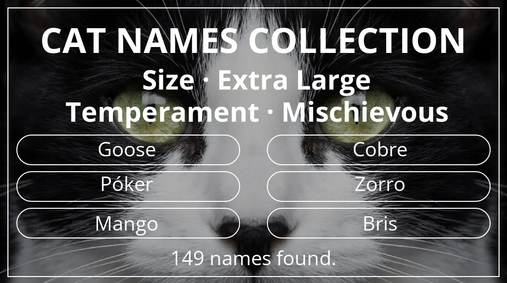 Cat names based on extra large size and mischievous temperament
