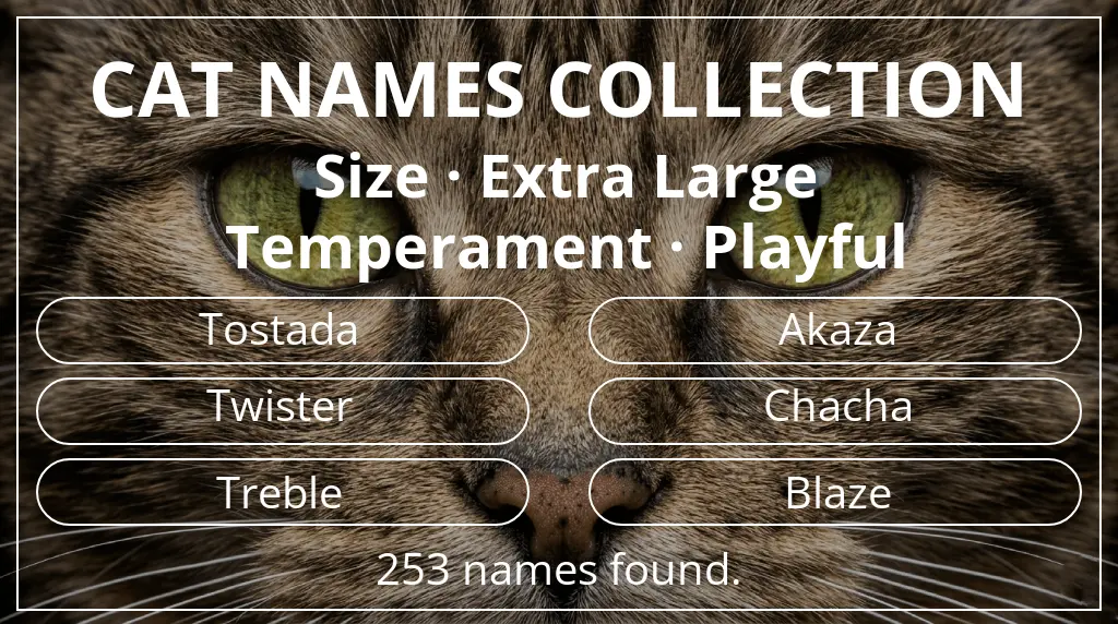 Names for cats based on extra large size and playful temperament