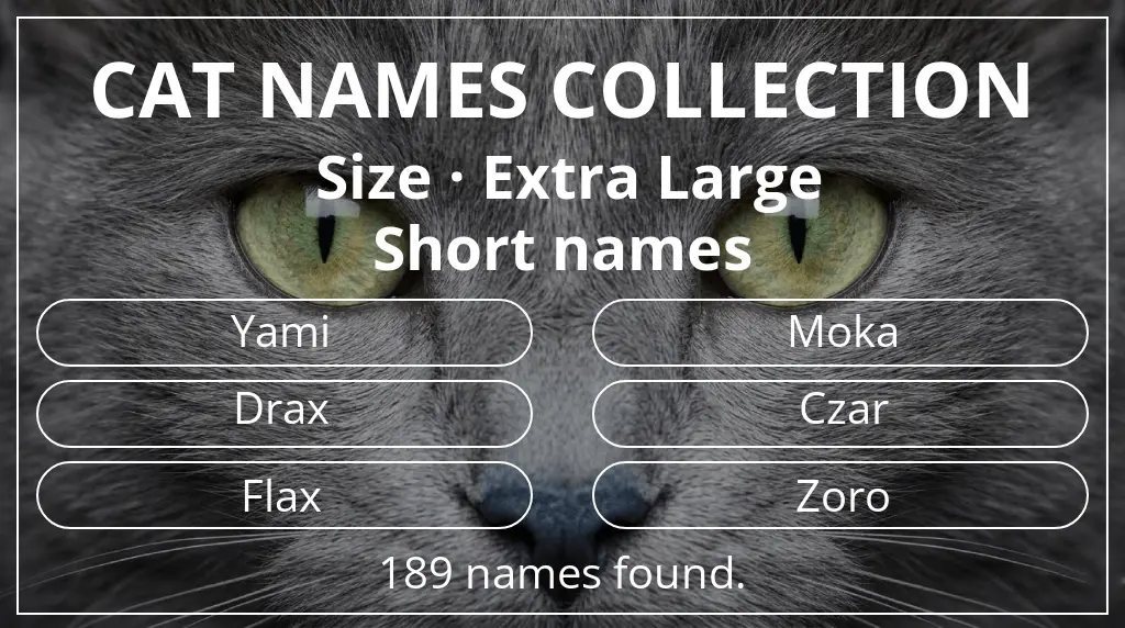 Feline names based on extra large size and short (2–4) name length