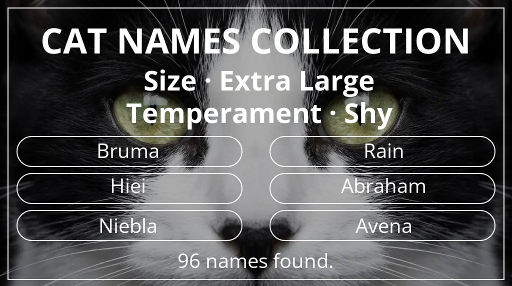 Cat names related to extra large size and shy temperament