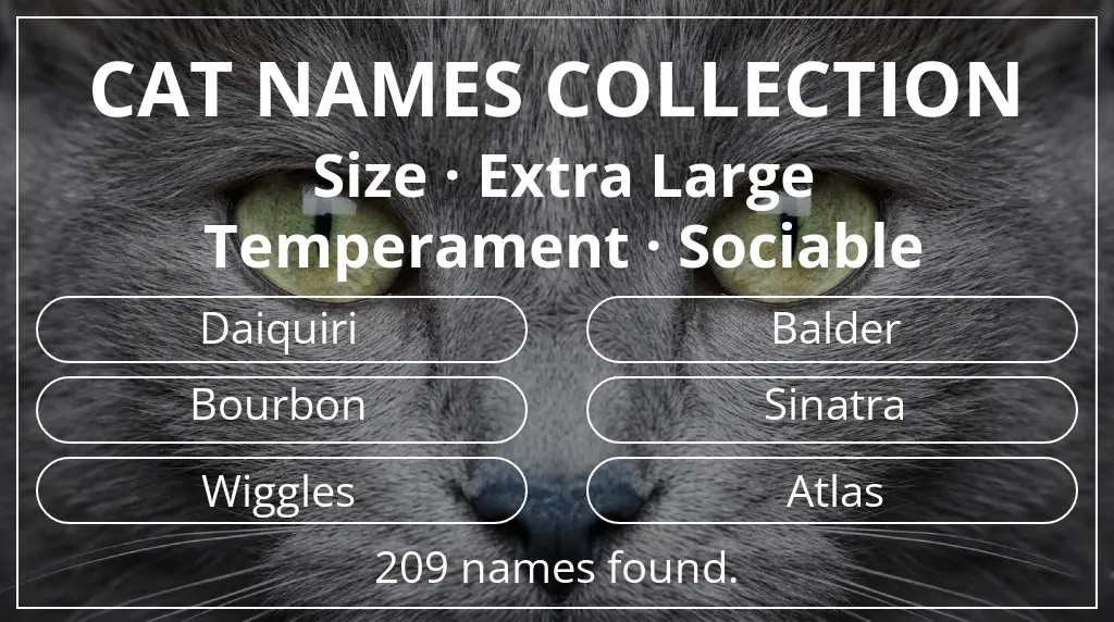 Cat names related to extra large size and sociable temperament