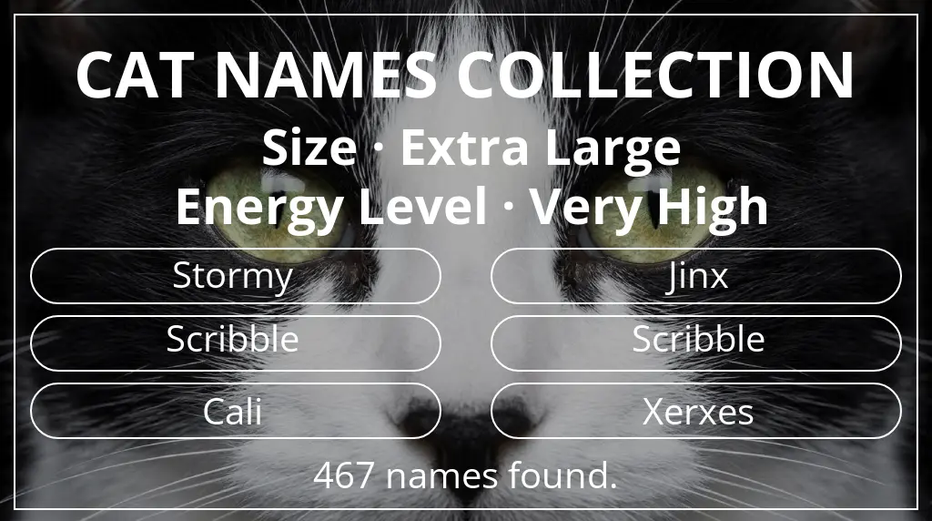 Names for cats related to extra large size and very high energy level