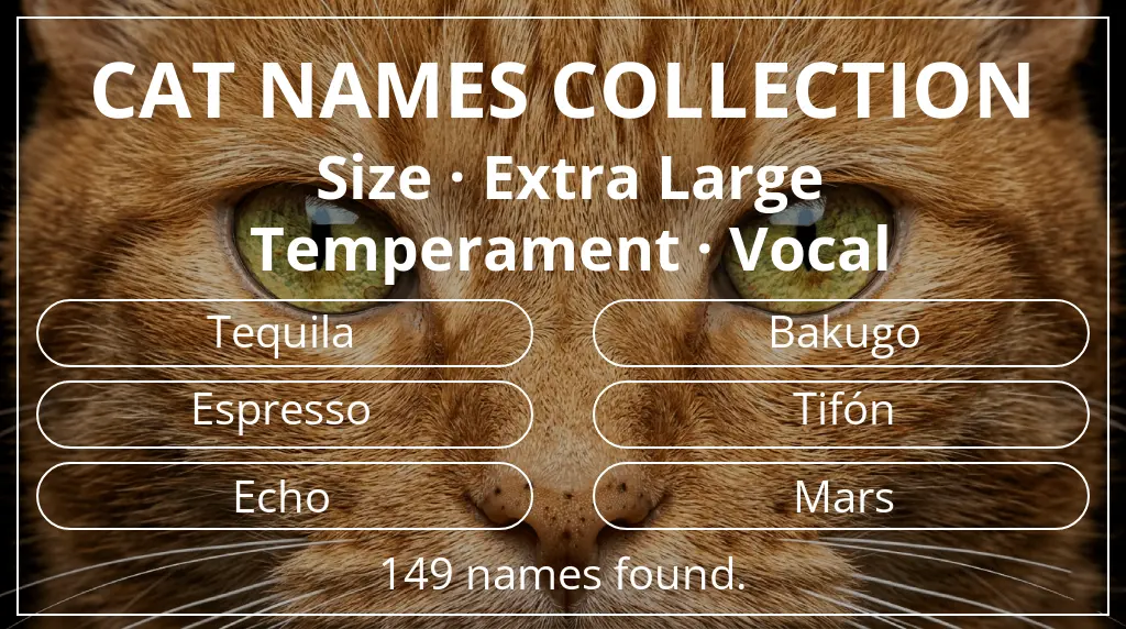Names for cats based on extra large size and vocal temperament