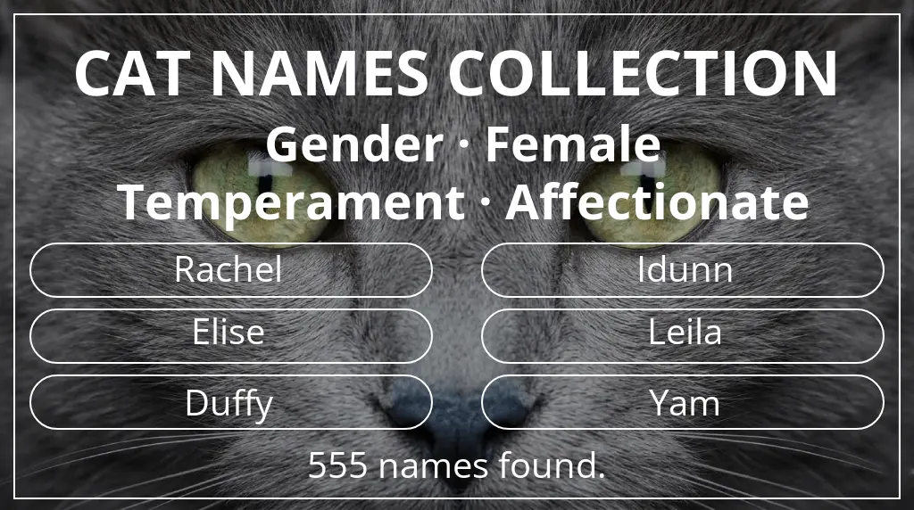 Feline names related to female gender and affectionate temperament