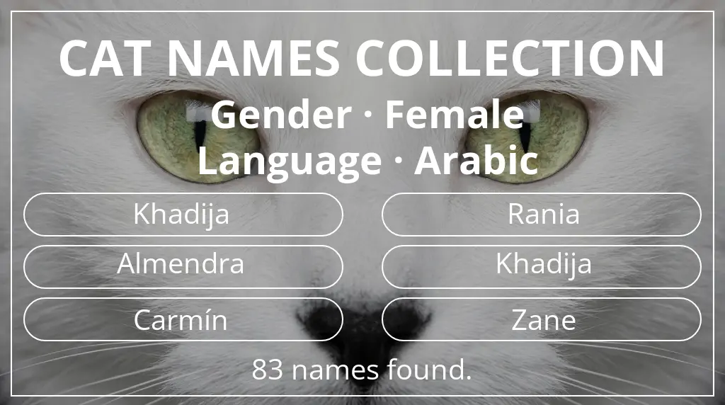 Names for cats inspired by female gender and arabic language
