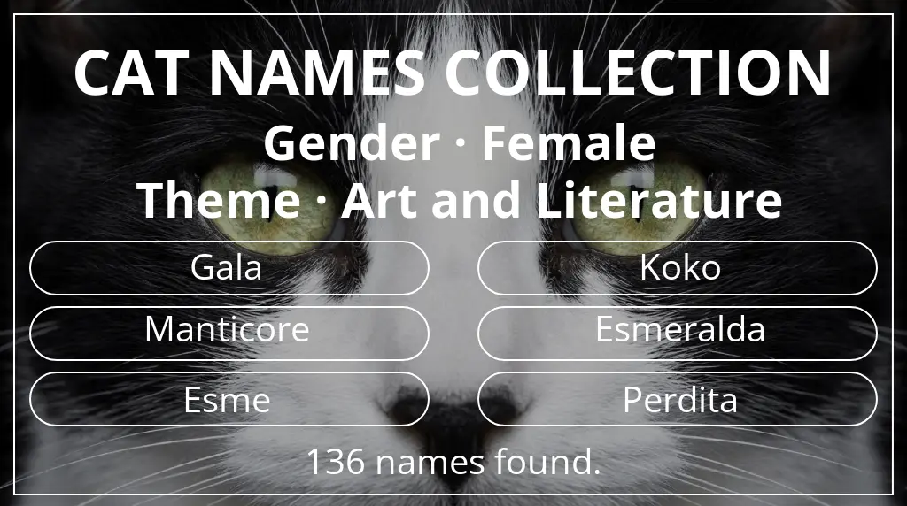 Feline names related to female gender and art and literature theme