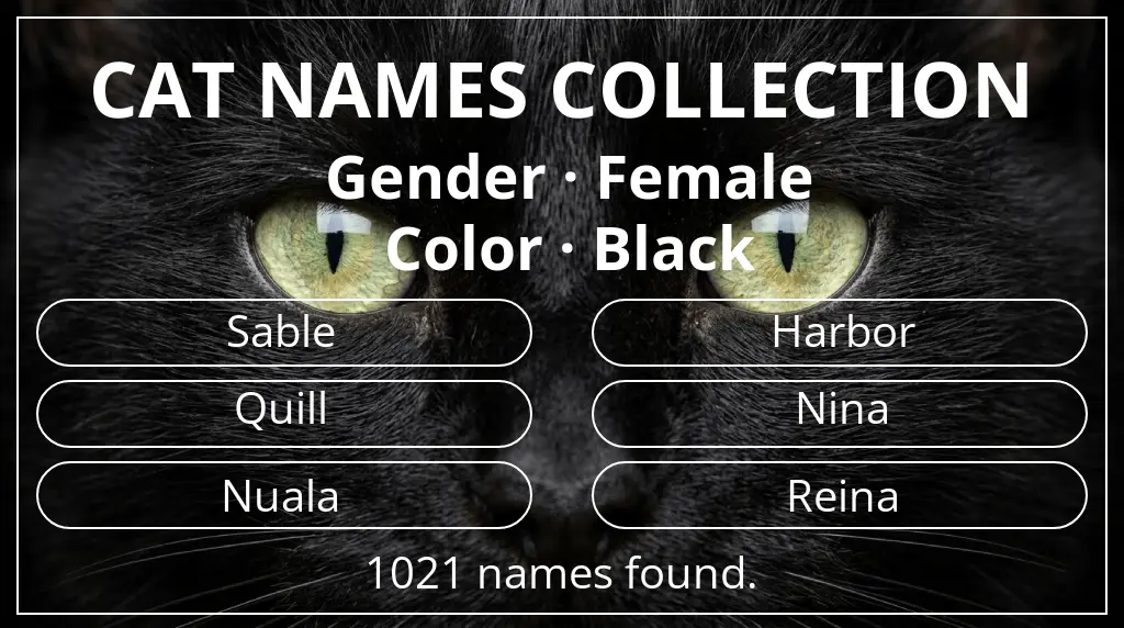 Cat names related to female gender and black color