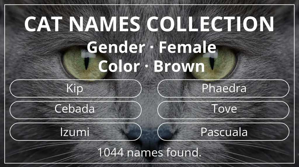 Cat names inspired by female gender and brown color