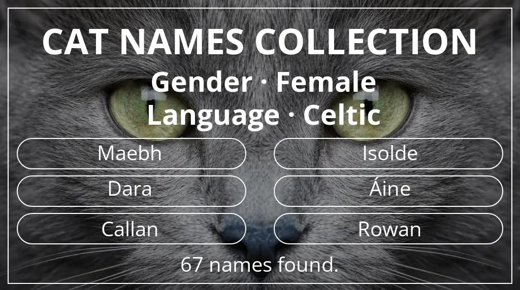 Cat names based on female gender and celtic language