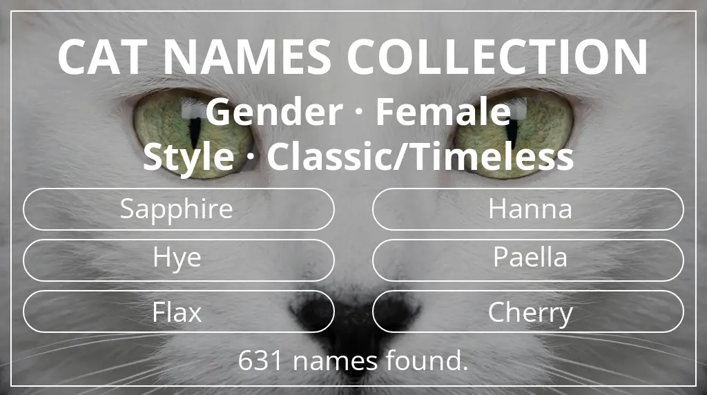 Cat names related to female gender and classic/timeless style