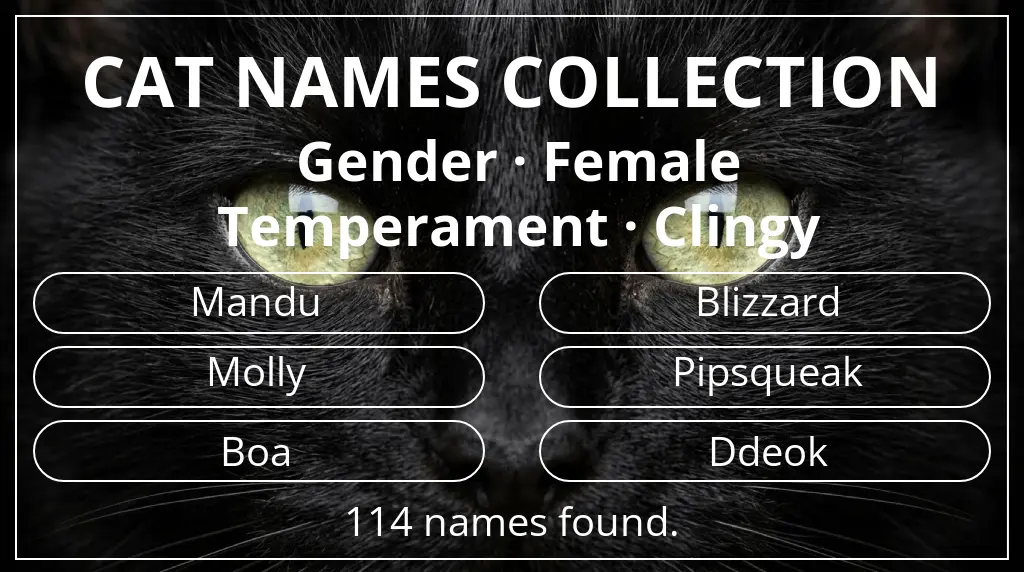 Feline names based on female gender and clingy temperament