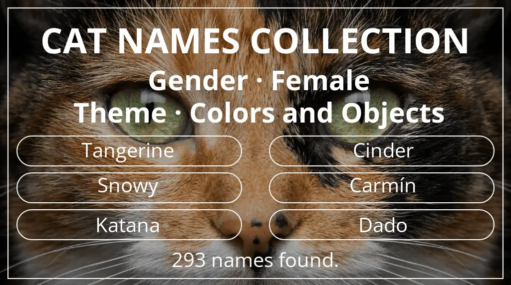 Names for cats based on female gender and colors and objects theme