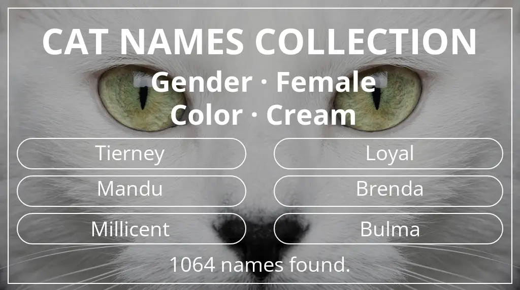 Cat names based on female gender and cream color