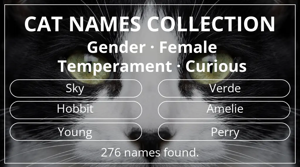 Cat names related to female gender and curious temperament