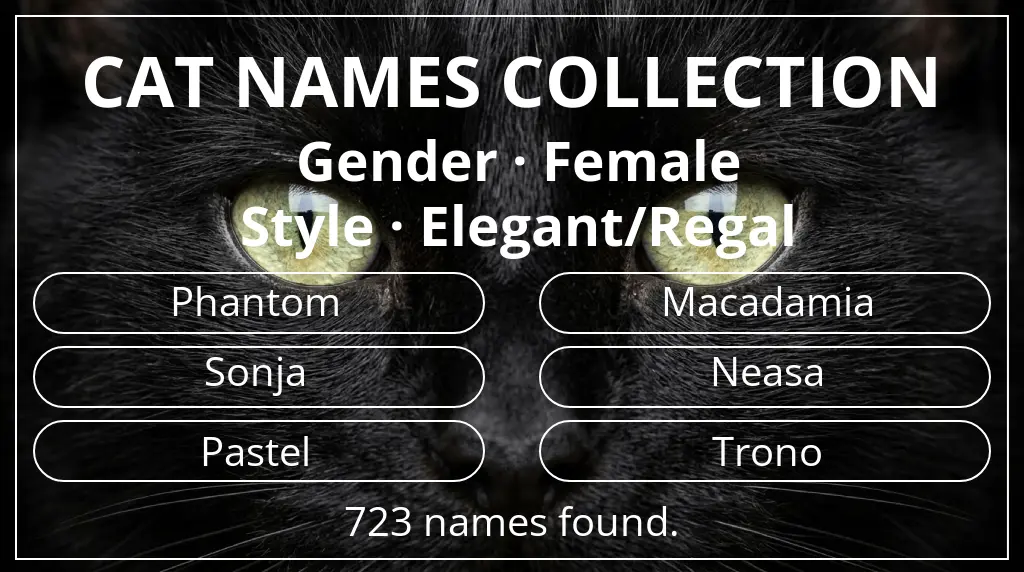 Names for cats inspired by female gender and elegant/regal style