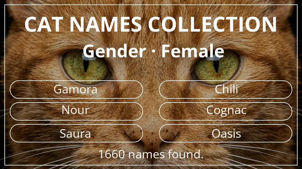 Feline names based on female gender