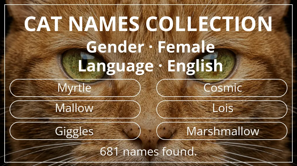 Names for cats inspired by female gender and english language