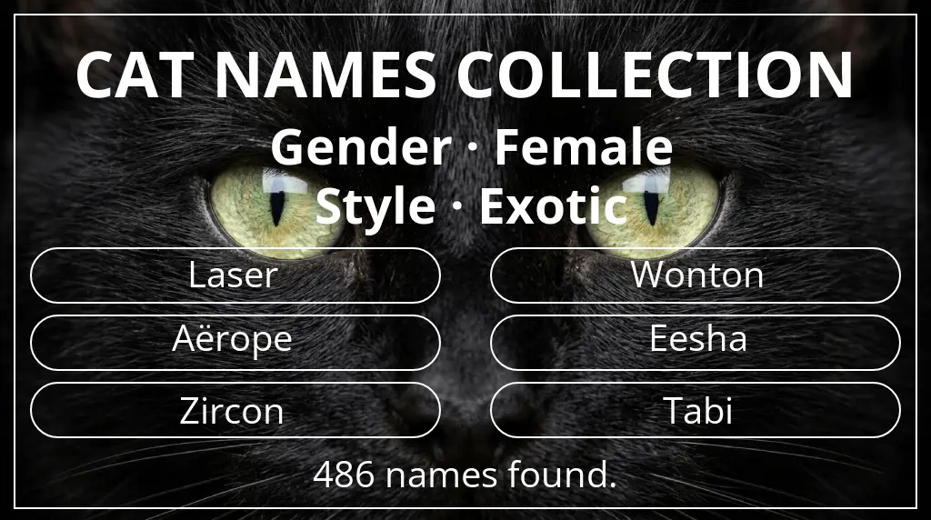 Cat names related to female gender and exotic style