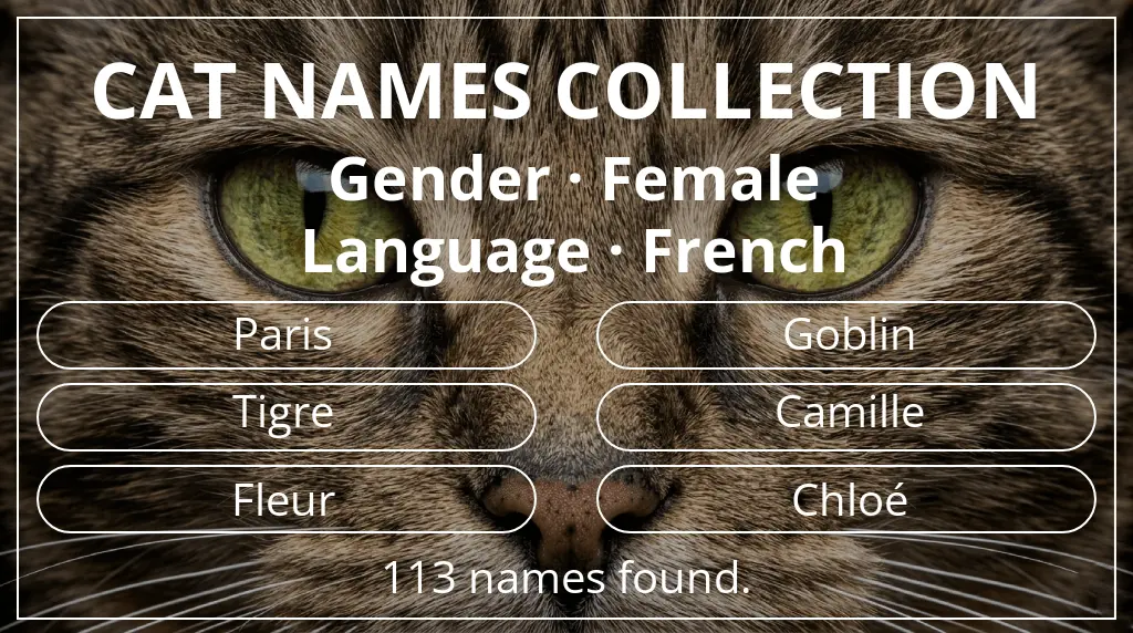 Names for cats based on female gender and french language