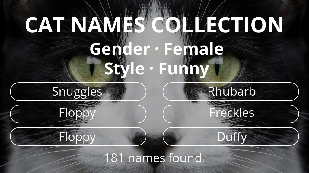 Feline names related to female gender and funny style