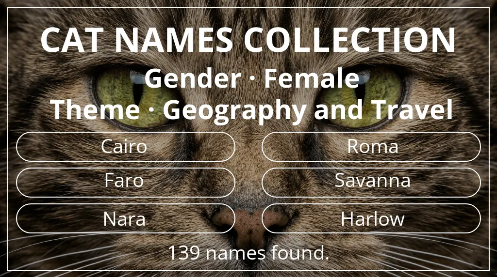 Cat names related to female gender and geography and travel theme