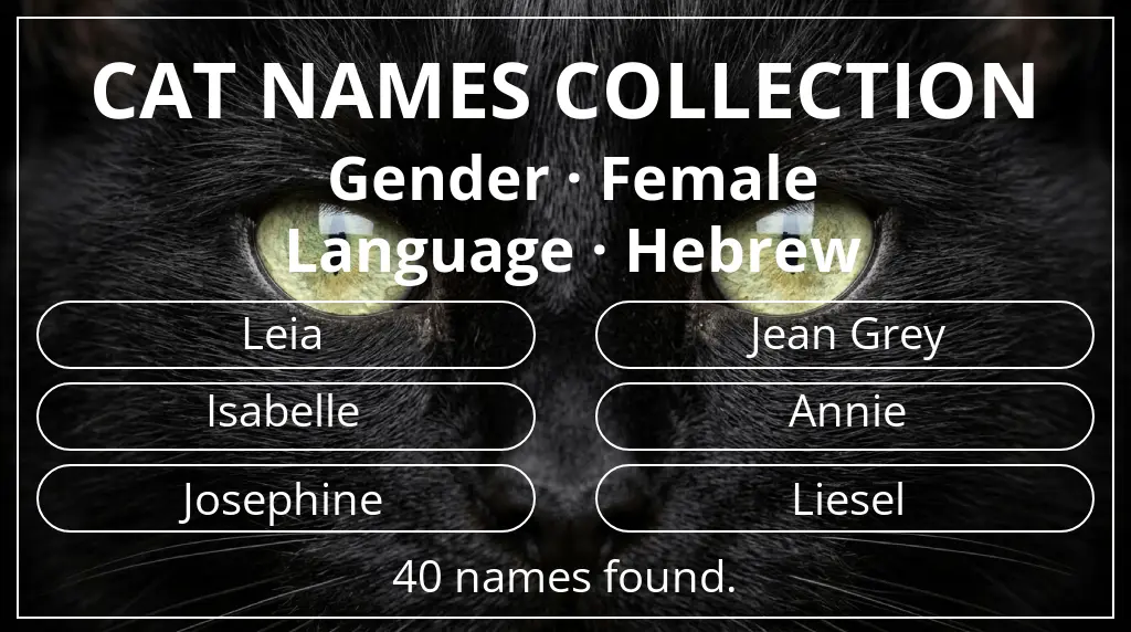 Feline names based on female gender and hebrew language