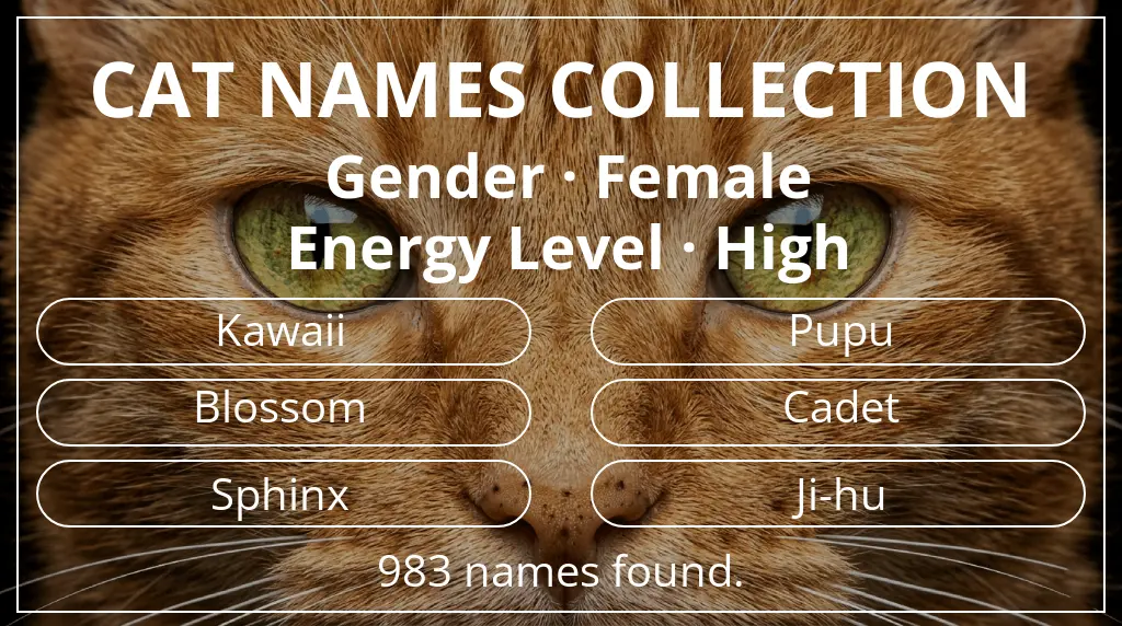 Names for cats related to female gender and high energy level