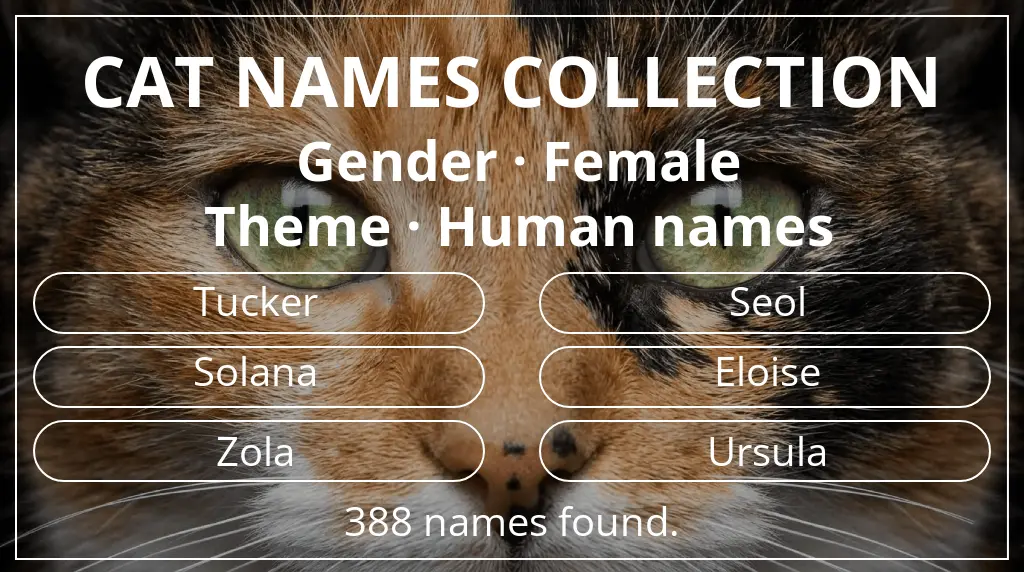 Feline names related to female gender and human names theme