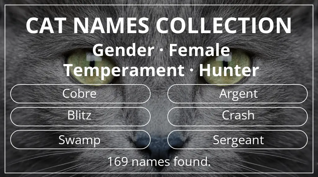 Feline names based on female gender and hunter temperament