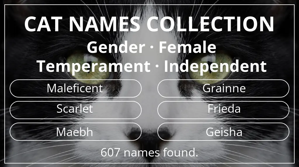 Feline names inspired by female gender and independent temperament