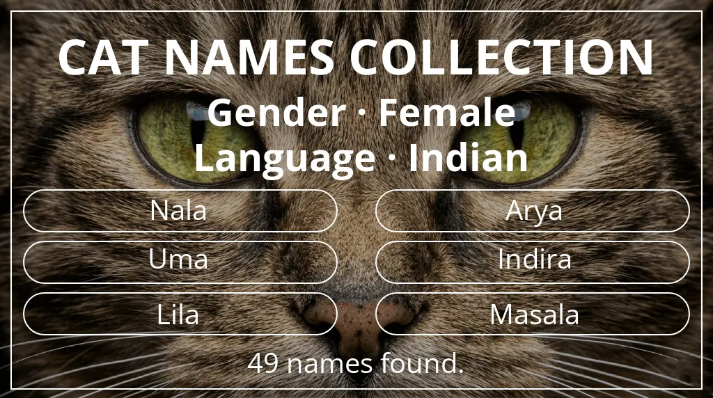 Feline names related to female gender and indian language