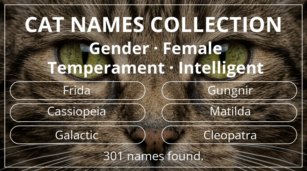 Cat names inspired by female gender and intelligent temperament