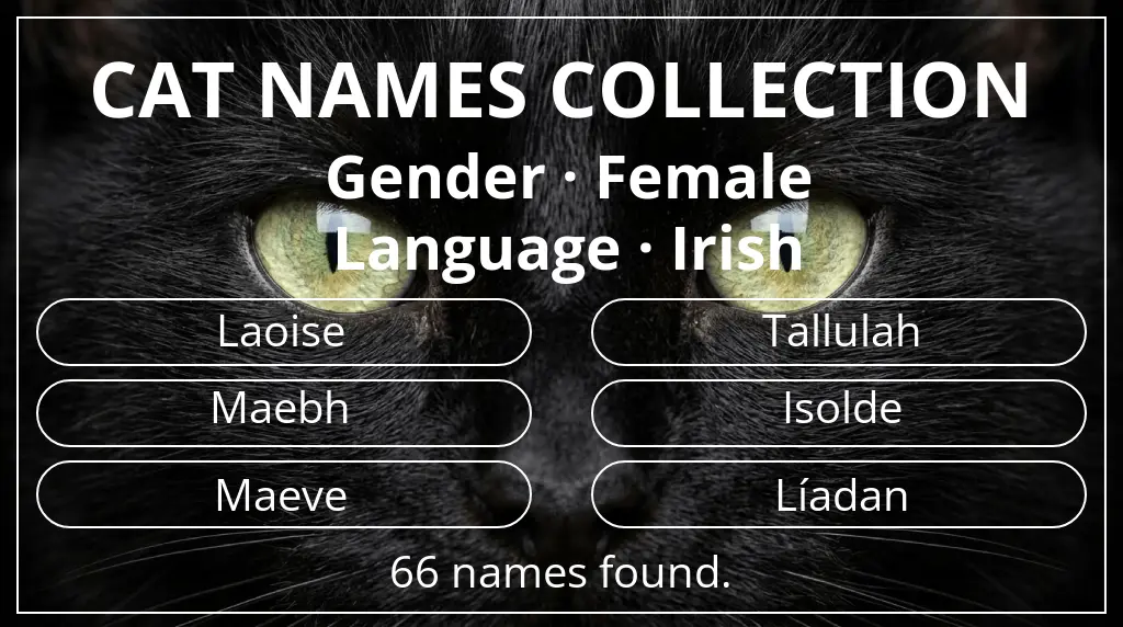Names for cats inspired by female gender and irish language