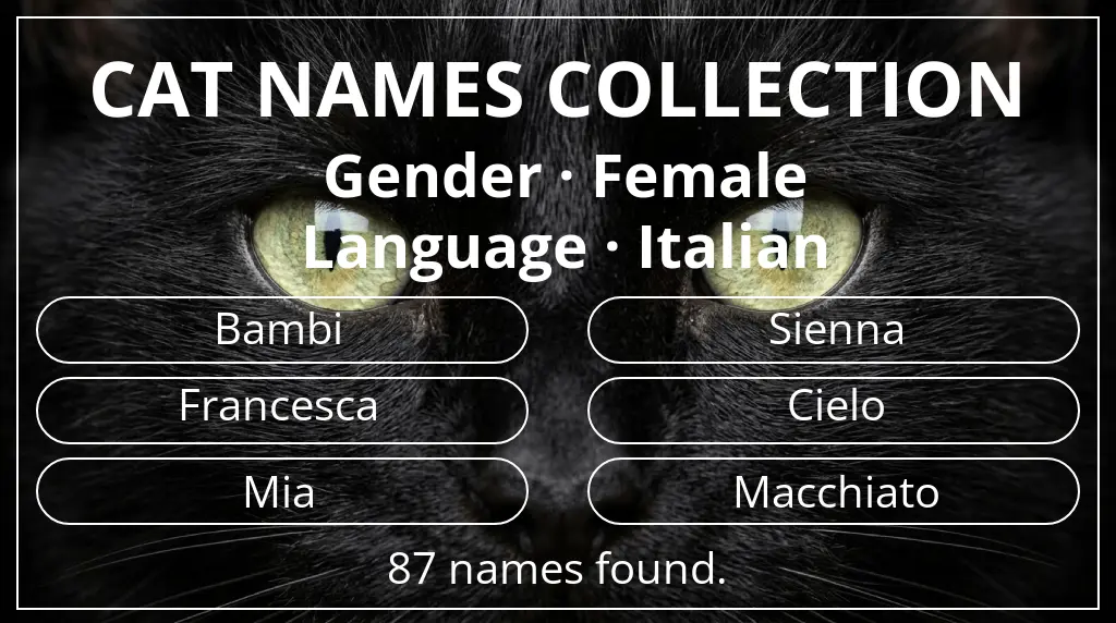 Names for cats related to female gender and italian language