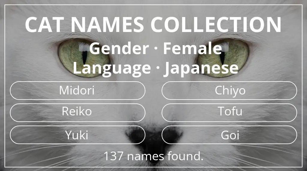 Feline names inspired by female gender and japanese language