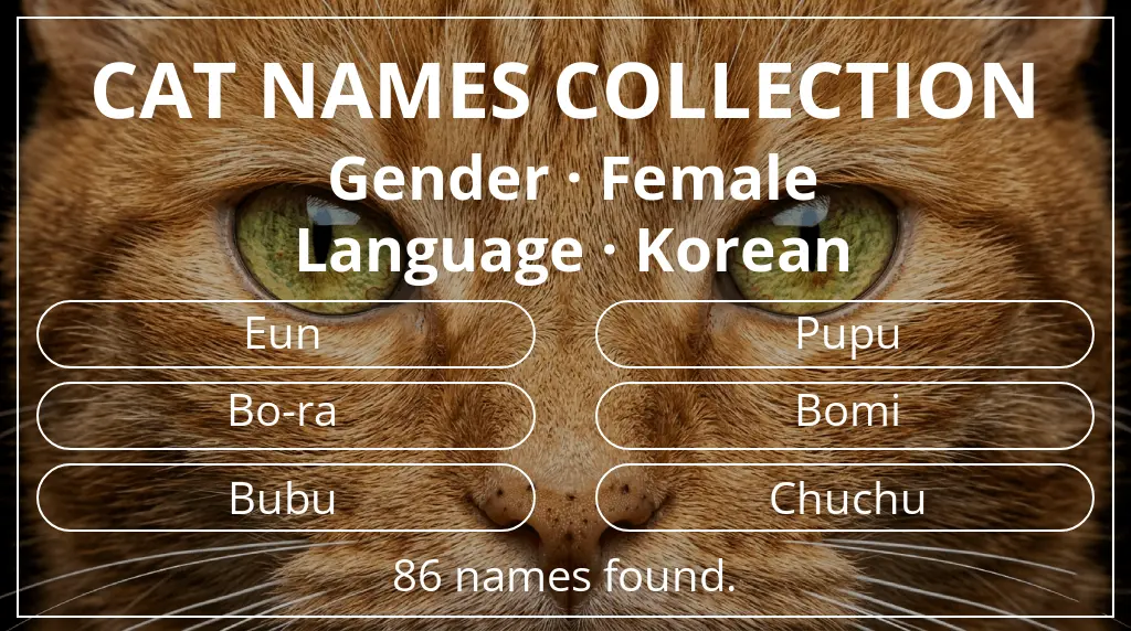 Feline names inspired by female gender and korean language