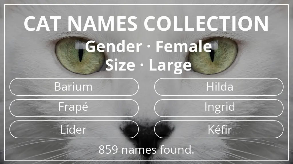 Names for cats inspired by female gender and large size