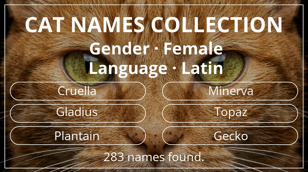Cat names based on female gender and latin language