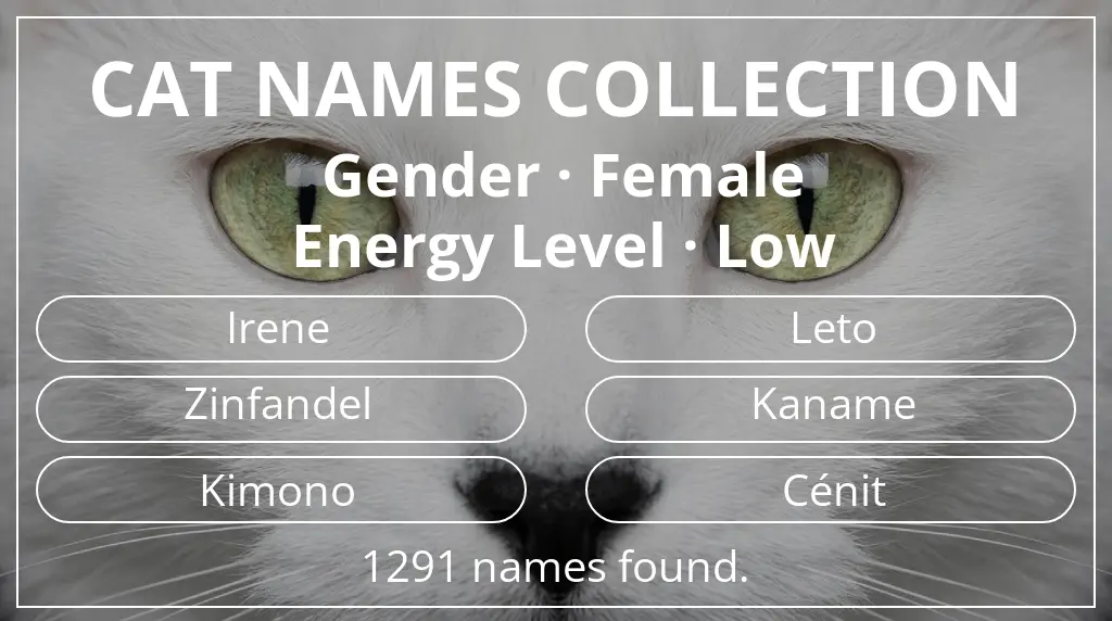 Cat names based on female gender and low energy level