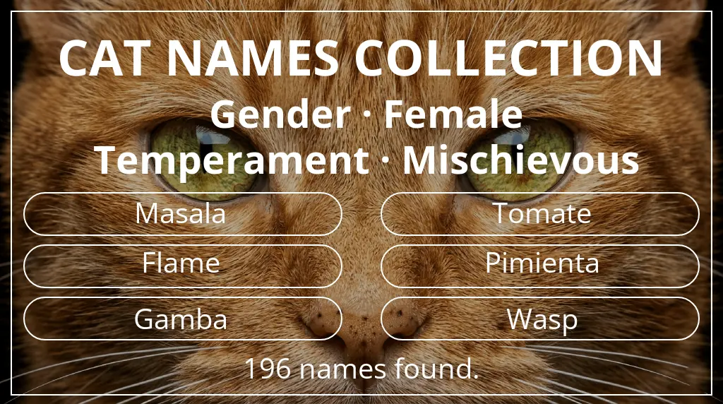 Cat names related to female gender and mischievous temperament
