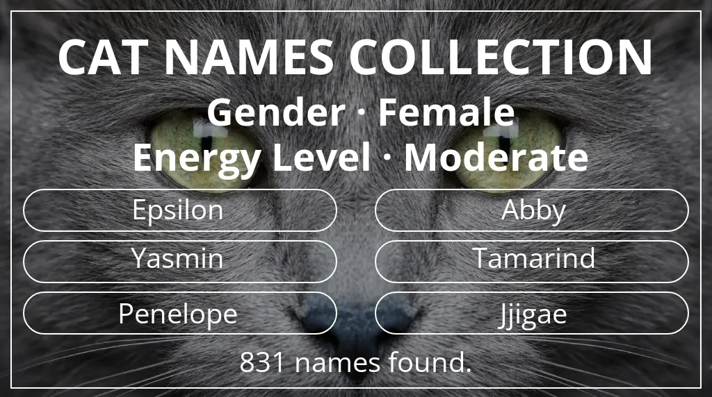 Cat names inspired by female gender and moderate energy level